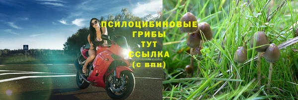 гашишное масло Алексеевка