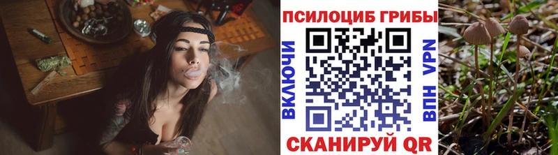 Галлюциногенные грибы ЛСД  Тюкалинск 